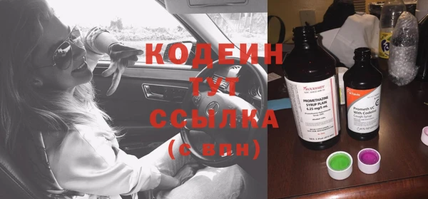 СК Елабуга