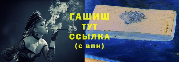 гидра Елизово