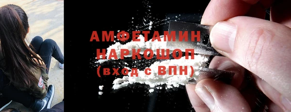 гидра Елизово