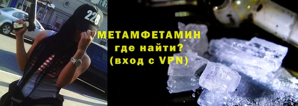 гидра Елизово
