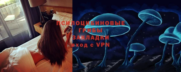 мяу мяу мука Ельня
