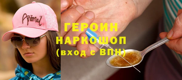 гидра Елизово