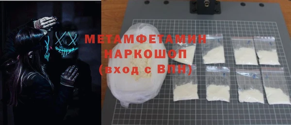 гидра Елизово