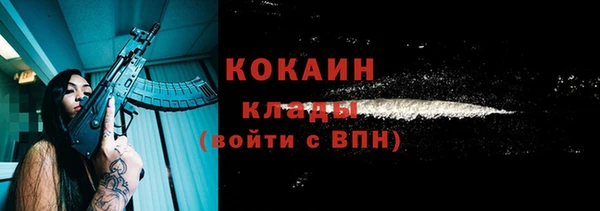 мяу мяу мука Ельня