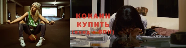 гидра Елизово