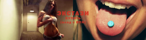 гидра Елизово