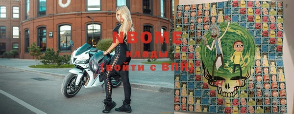 гидра Елизово