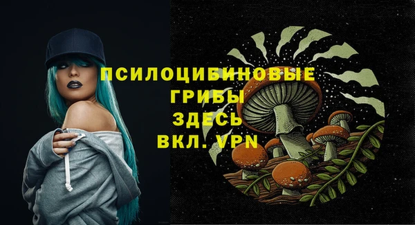 гидра Елизово