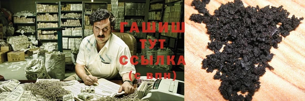 гидра Елизово