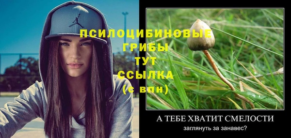 мяу мяу мука Ельня