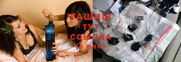 гидра Елизово