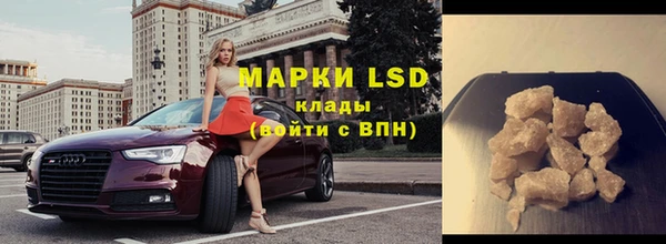 гидра Елизово