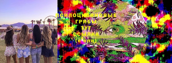 гидра Елизово